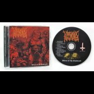 VIOLENT HAMMER Riders of the wasteland [CD]